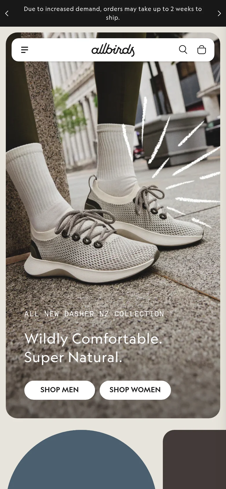 Allbirds Shopify webshop on mobile